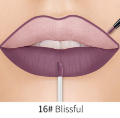 Matte Nonstick Liquid  Double Lip Gloss Pen