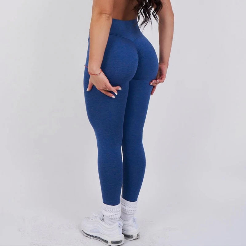 Workout  Sports Pants